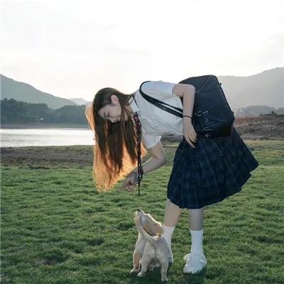 狼（2013）